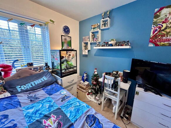 Photo 15