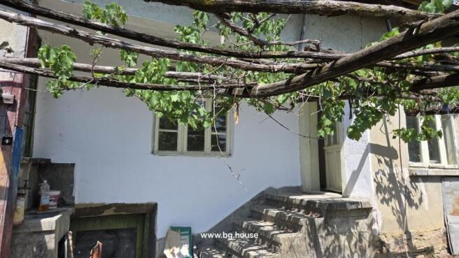Concrete steps lead to a door on the house exterior with a grapevine trellis overhead.
