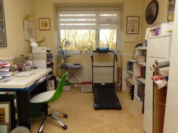 Photo 15