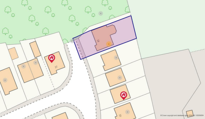 Satellite View