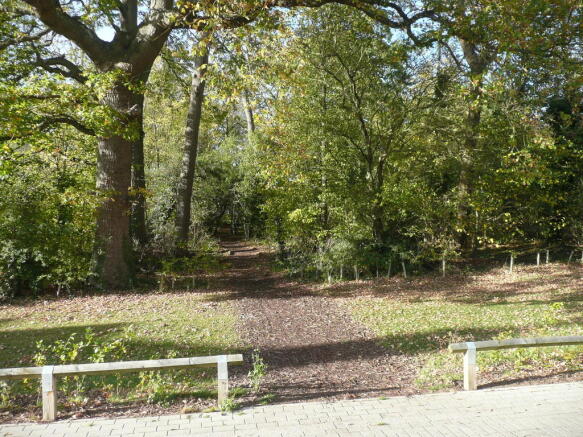 Adjacent Woodland
