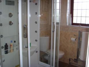 Shower/Steam Room