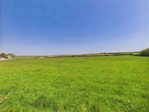 view from garden