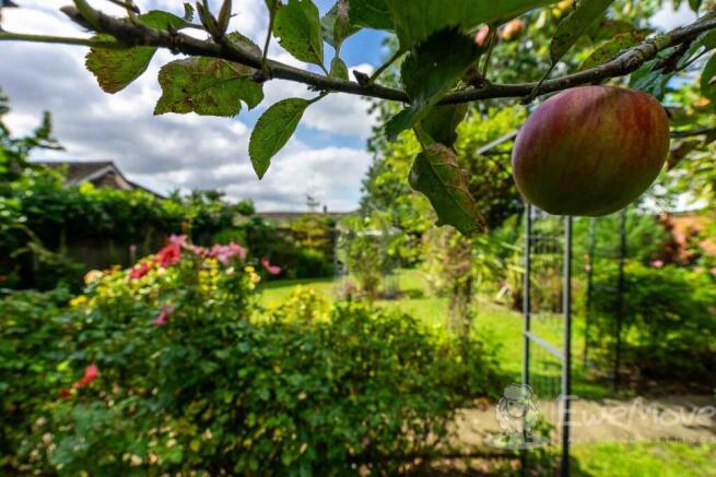 Mini Orchard