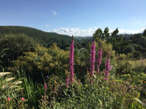 JOHN PYE PROPERTY - SYCHARTH - SEPT 2018 20.JPG