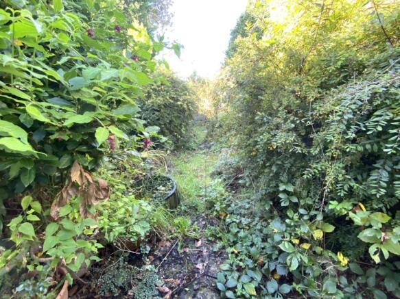 Rear garden.c0H0h.jpg