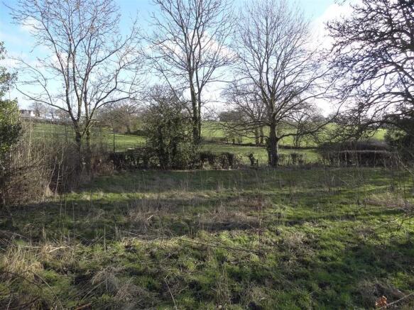 The Property
