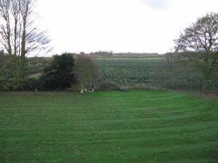 Garden And View