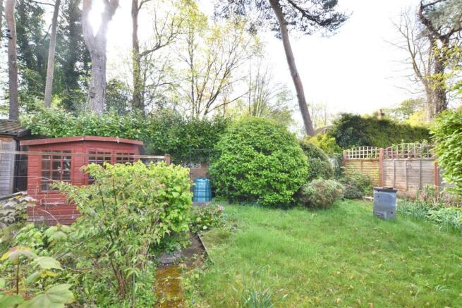 Garden 3.JPG