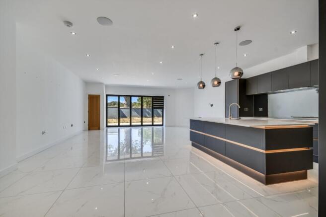 Kitchen/Living Room