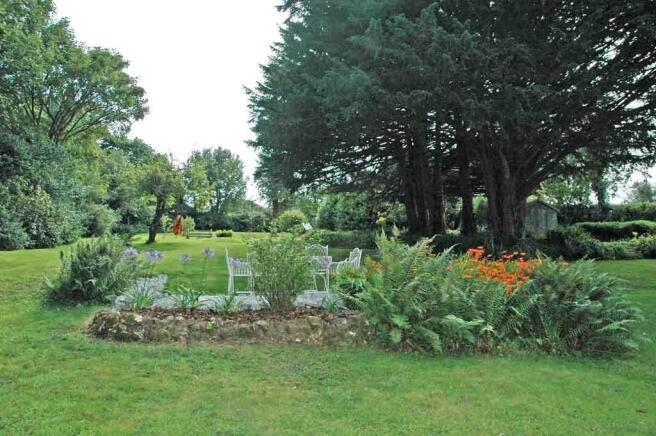 Photo 11