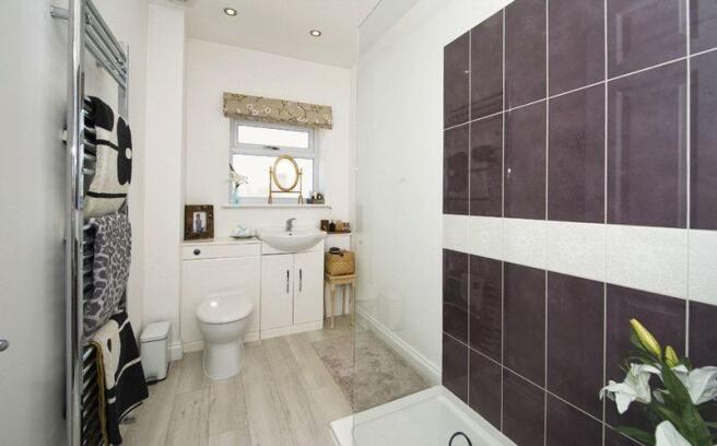 Shower Room