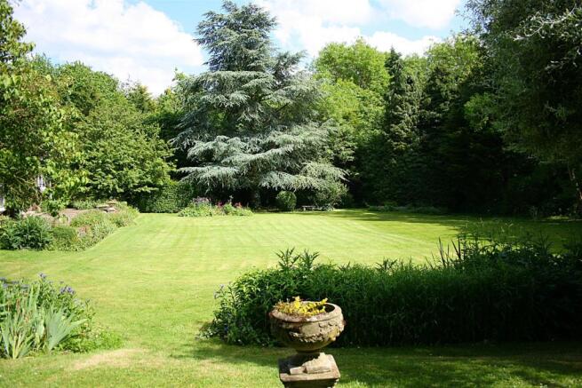 garden2.JPG