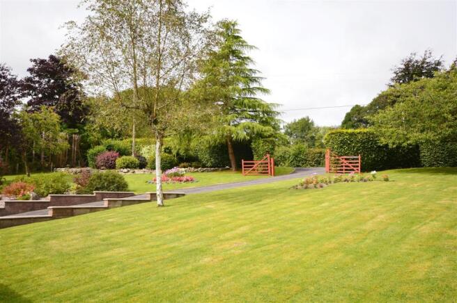 Front Lawns.JPG