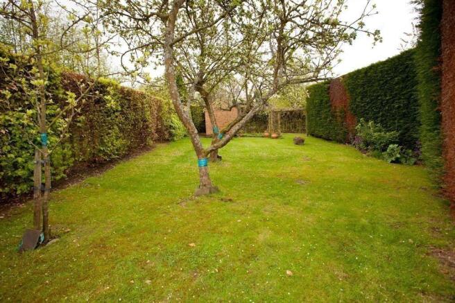 Orchard