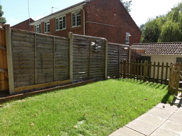 Photo 11