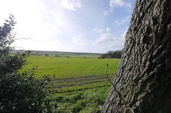 VIEW OF FIELDS AT RE