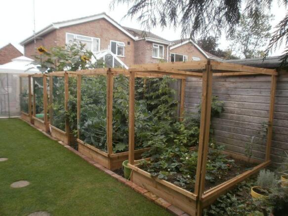Veg patch
