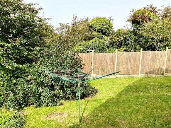 garden pic3.jpg