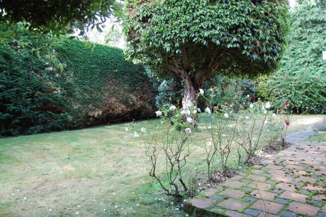 Photo 15