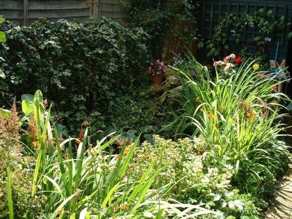 Photo 15