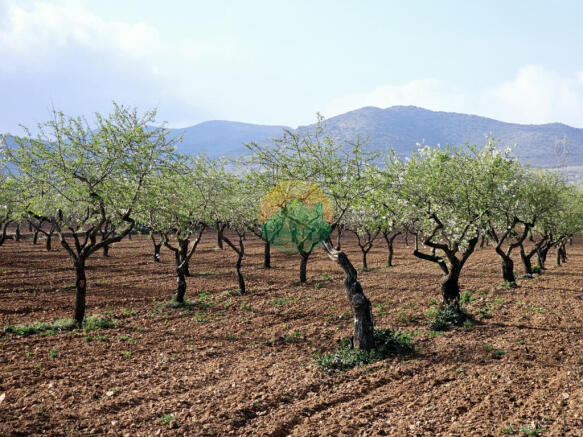 3 Bedroom Semi - Detached For Sale-PAL09-3