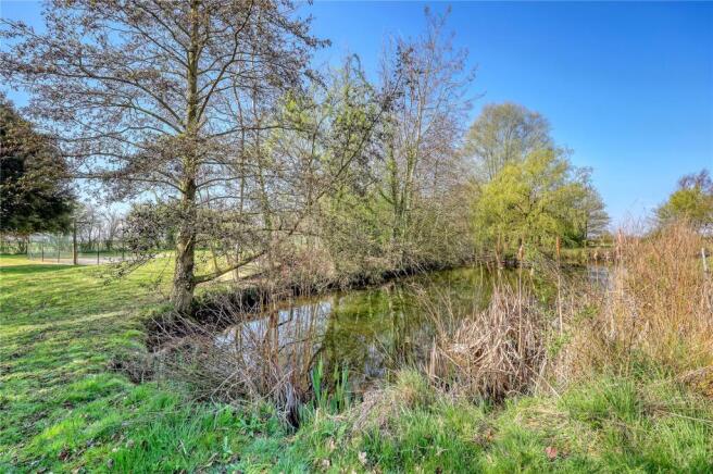 Wildlife Pond