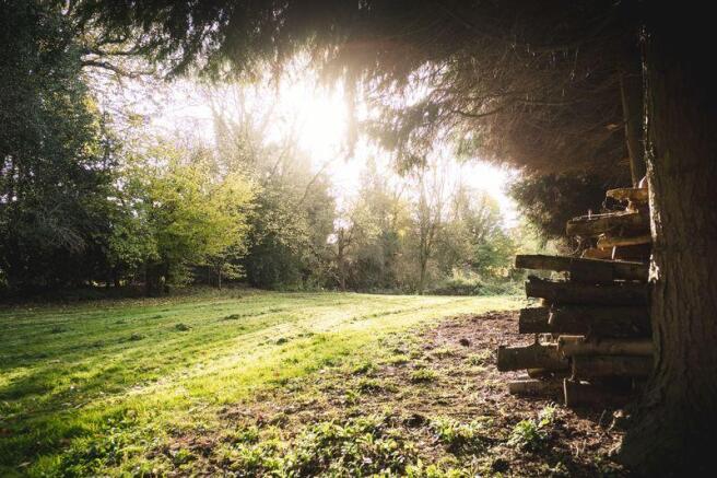Early morning sun