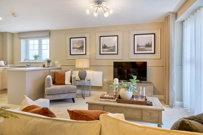 Show home living room
