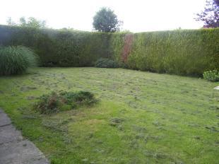 Outside Rear