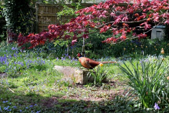 061 Gardens.JPG