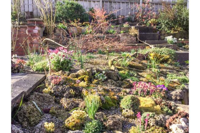 Mature Garden
