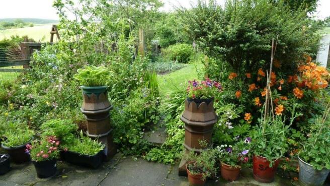 garden4.jpg
