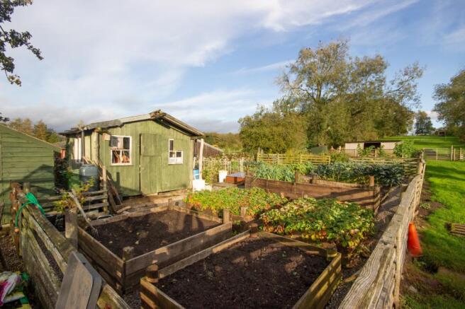 Vegetable Plots