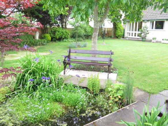 Photo 14