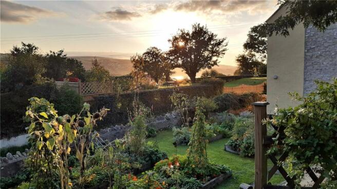 Veg Plot