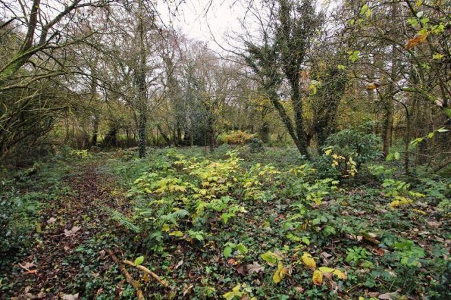 Woodland