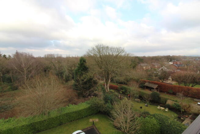 View 2 T202602031526.jpg