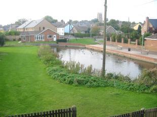 View to duck pond