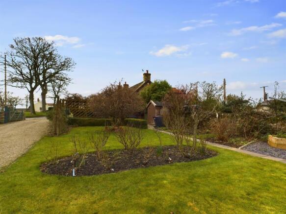 garden 2.jpg
