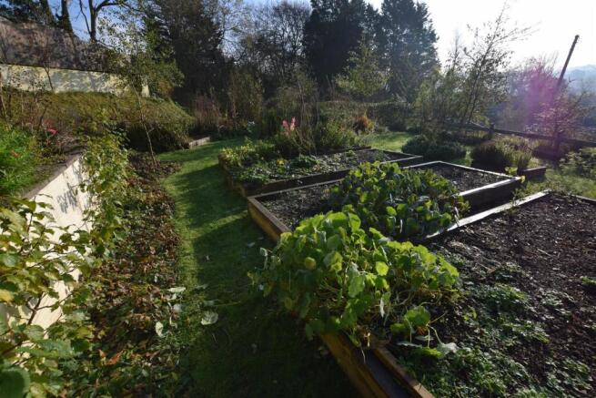 Garden - Raised Beds (2)
