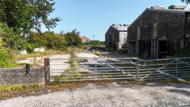 Yard (1)