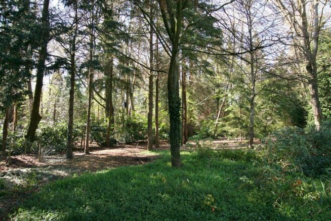 WOODLAND