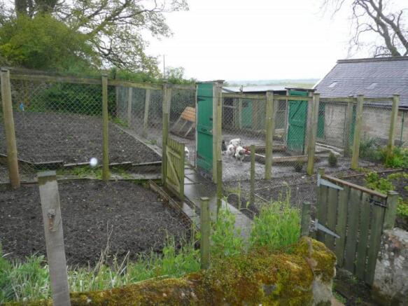 Image 11