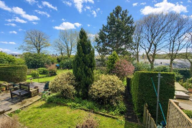 Garden sunny.jpeg