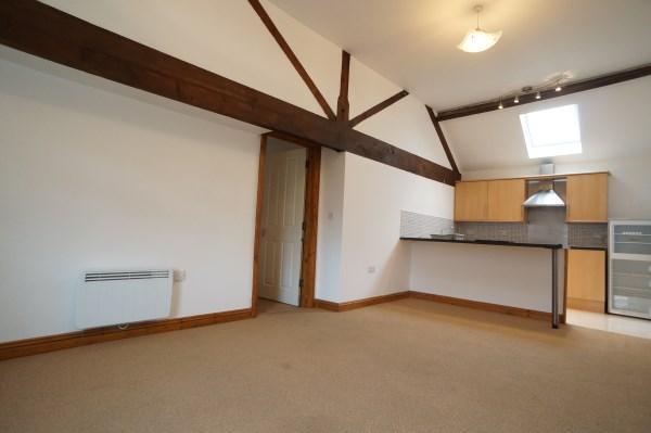 Lounge Open Plan Lounge / Kitchen