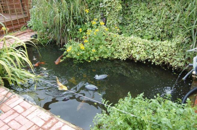 Photo 20 pond