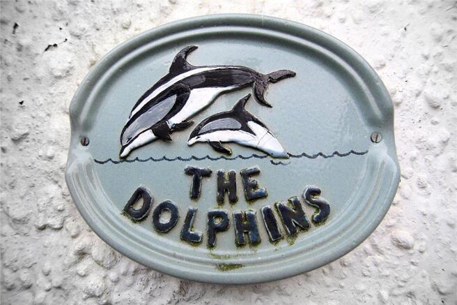 The Dolphins East