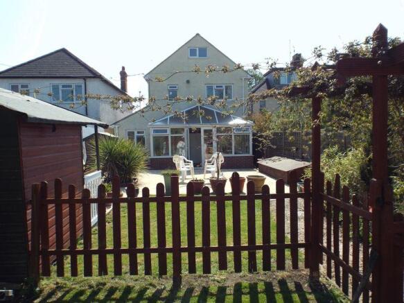Photo 11