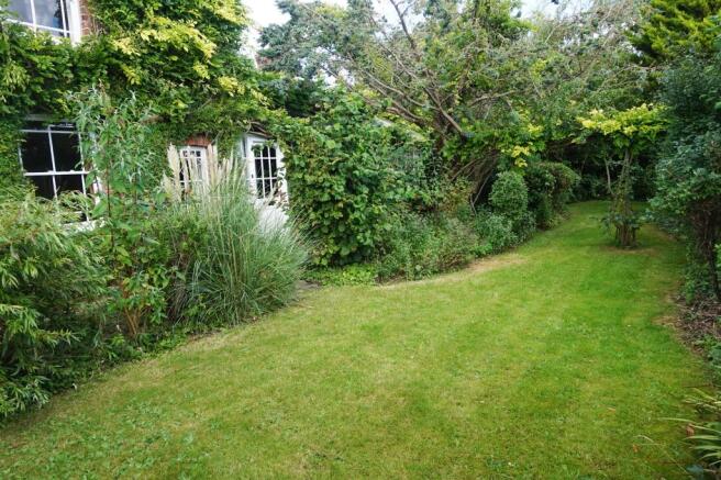 Garden 4